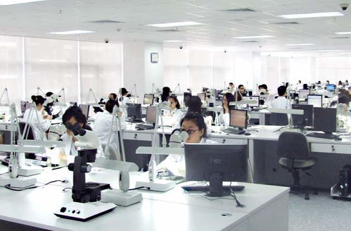 珠寶送檢小程序上線，足不出戶享受專業珠寶檢測服務