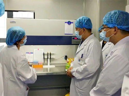 我市四家核酸檢測實驗室全部建成投用，日最高檢測能力近五千人份